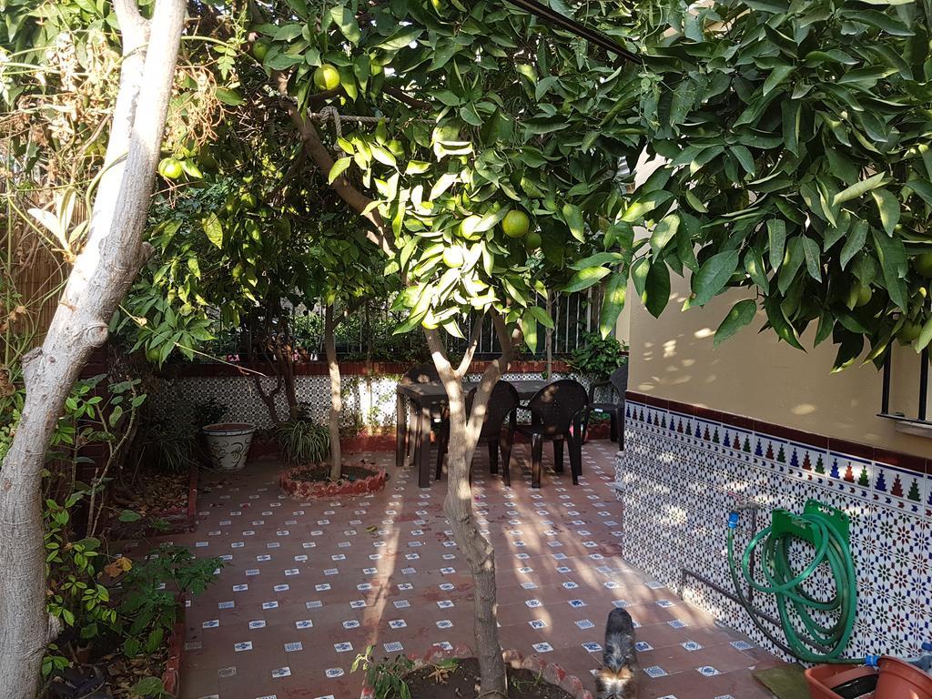 Villa Patricia Málaga Kültér fotó